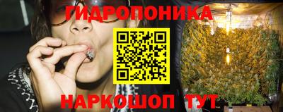 шишки Рязань