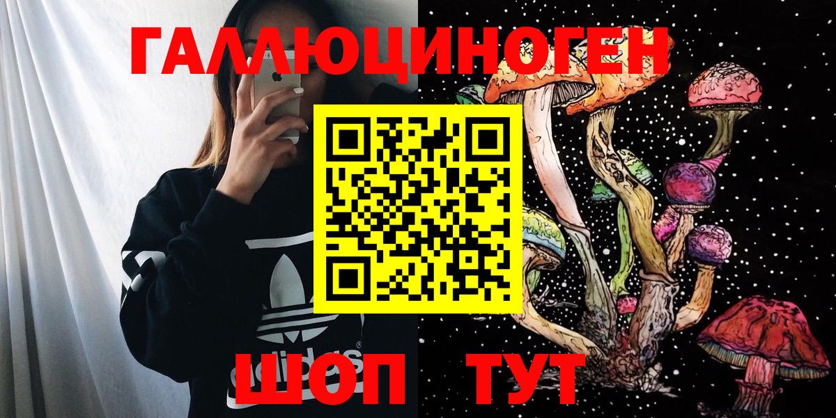 Галлюциногенные грибы Psilocybine cubensis  Вход с VPN  Россия  Псилоцибиновые грибы Psilocybe 